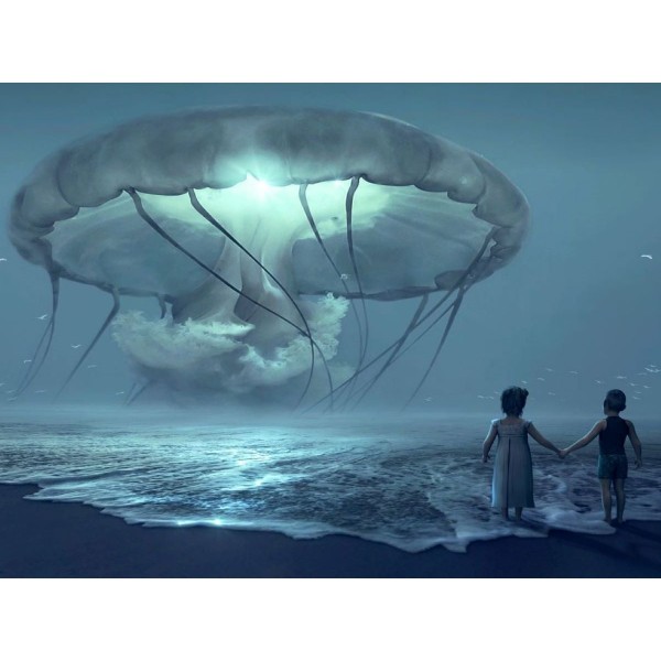 Sogno 5d Diy Kit Diamond Painting Pittura Di Diamante NO537