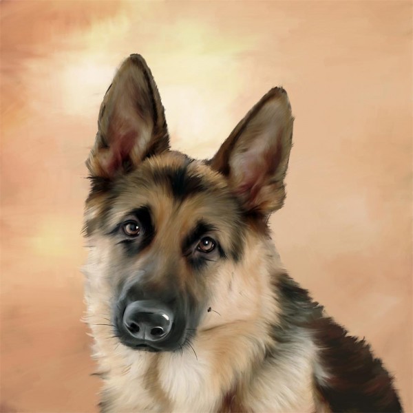 Cani 5d Diy Kit Diamond Painting Pittura Di Diamante NO485