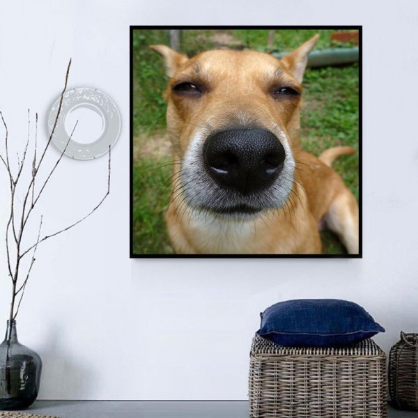 Cani 5d Diy Kit Diamond Painting Pittura Di Diamante NO486