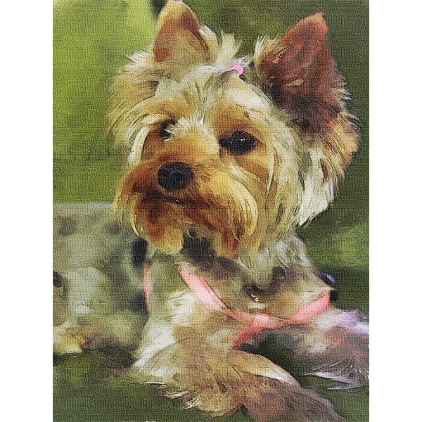 Cani 5d Diy Kit Diamond Painting Pittura Di Diamante NO479