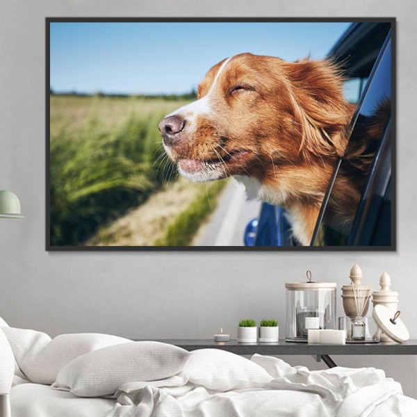 Cani 5d Diy Kit Diamond Painting Pittura Di Diamante NO477