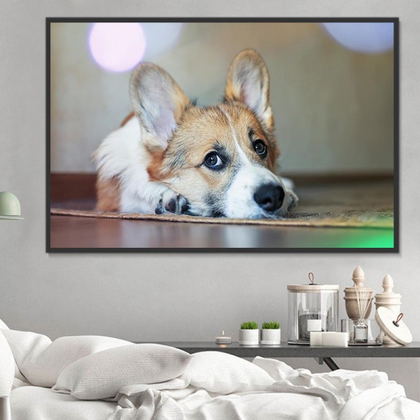 Cani 5d Diy Kit Diamond Painting Pittura Di Diamante NO473