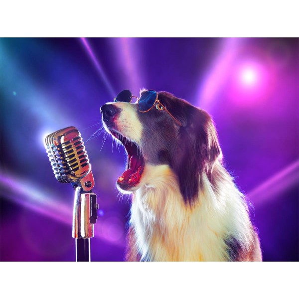 Cani 5d Diy Kit Diamond Painting Pittura Di Diamante NO467