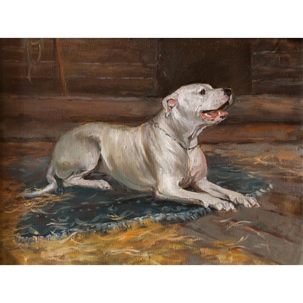 Cani 5d Diy Kit Diamond Painting Pittura Di Diamante NO465