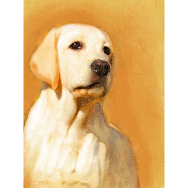 Cani 5d Diy Kit Diamond Painting Pittura Di Diamante NO462