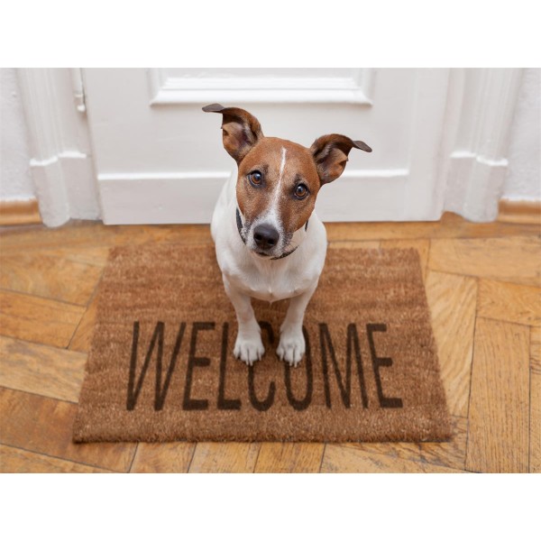 Cani 5d Diy Kit Diamond Painting Pittura Di Diamante NO461