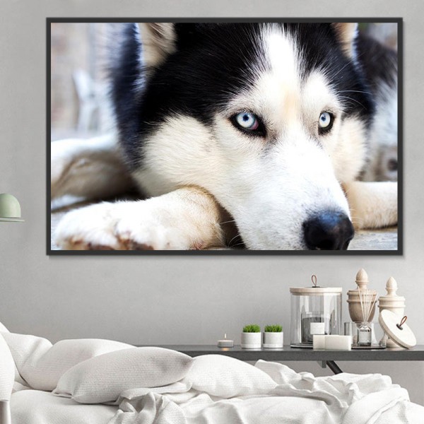 Cani 5d Diy Kit Diamond Painting Pittura Di Diamante NO459