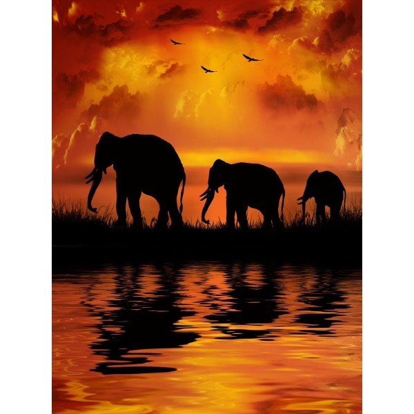 Elefante 5d Diy Kit Diamond Painting Pittura Di Diamante NO440