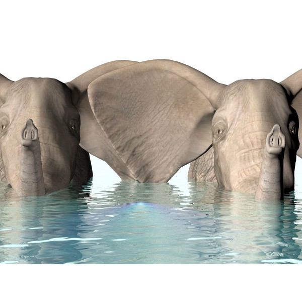 Elefante 5d Diy Kit Diamond Painting Pittura Di Diamante NO438