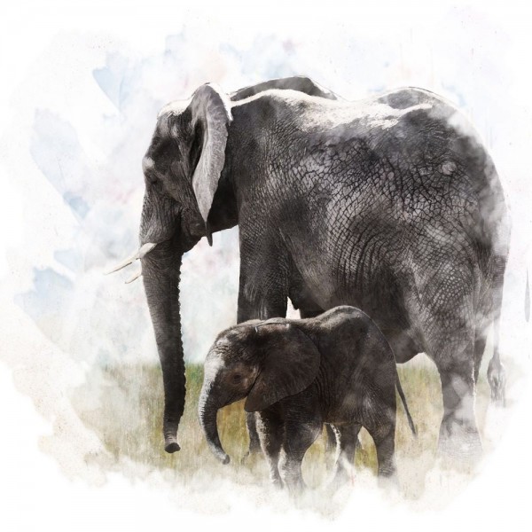 Elefante 5d Diy Kit Diamond Painting Pittura Di Diamante NO427