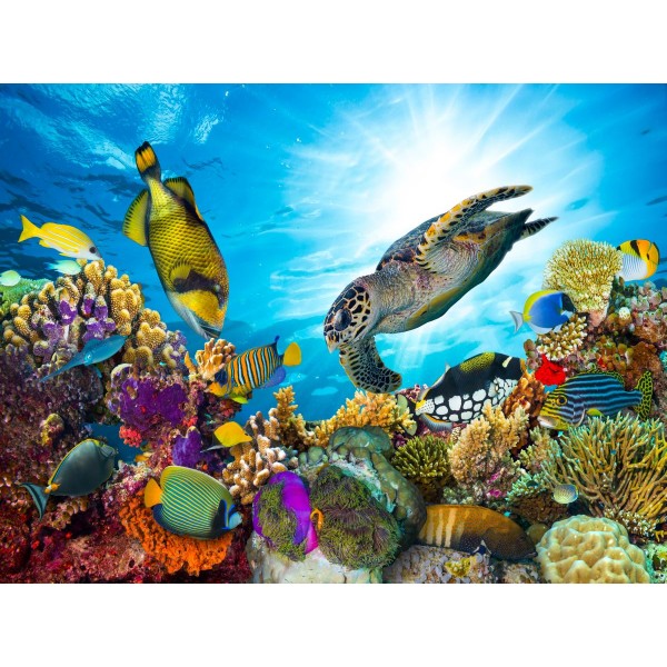 Tartaruga 5d Diy Kit Diamond Painting Pittura Di Diamante NO416