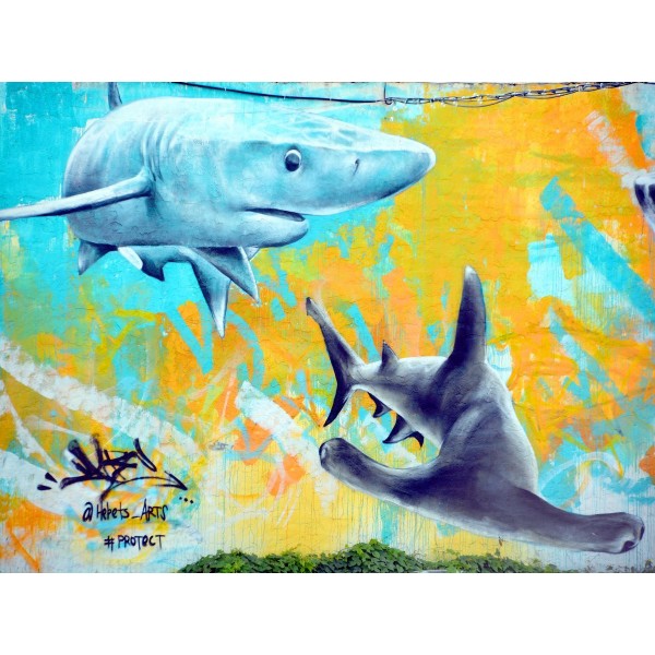 Squalo 5d Diy Kit Diamond Painting Pittura Di Diamante NO413