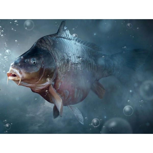 Pesce 5d Diy Kit Diamond Painting Pittura Di Diamante NO406