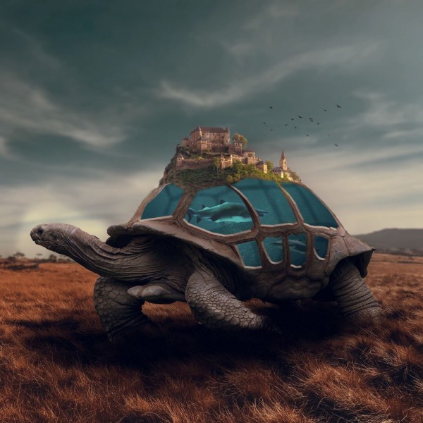 Tartaruga 5d Diy Kit Diamond Painting Pittura Di Diamante NO401