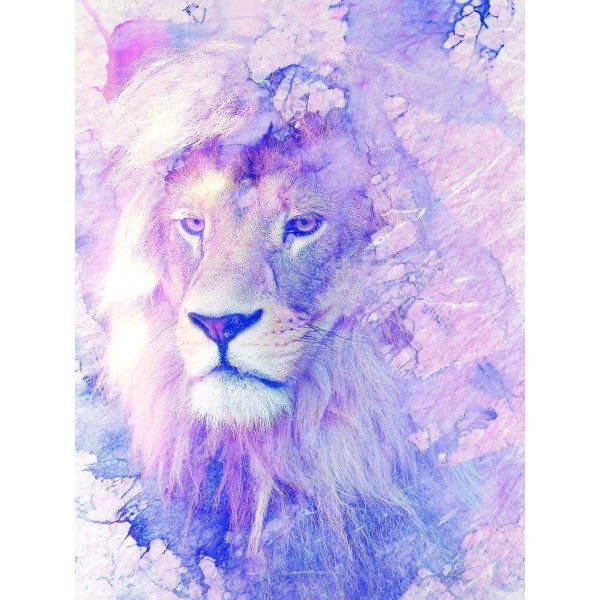 Leone 5d Diy Kit Diamond Painting Pittura Di Diamante NO355