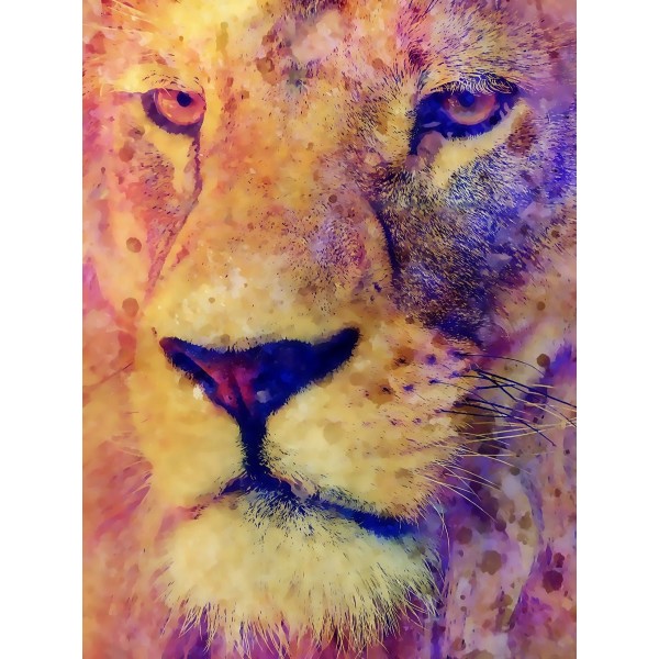 Leone 5d Diy Kit Diamond Painting Pittura Di Diamante NO354