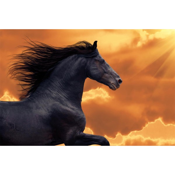 Cavallo 5d Diy Kit Diamond Painting Pittura Di Diamante NO329