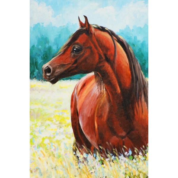 Cavallo 5d Diy Kit Diamond Painting Pittura Di Diamante NO327
