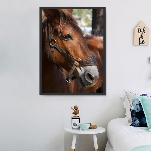 Cavallo 5d Diy Kit Diamond Painting Pittura Di Diamante NO325