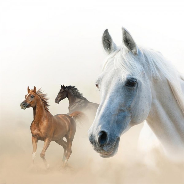 Cavallo 5d Diy Kit Diamond Painting Pittura Di Diamante NO316