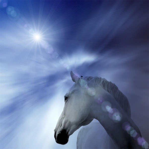 Cavallo 5d Diy Kit Diamond Painting Pittura Di Diamante NO314