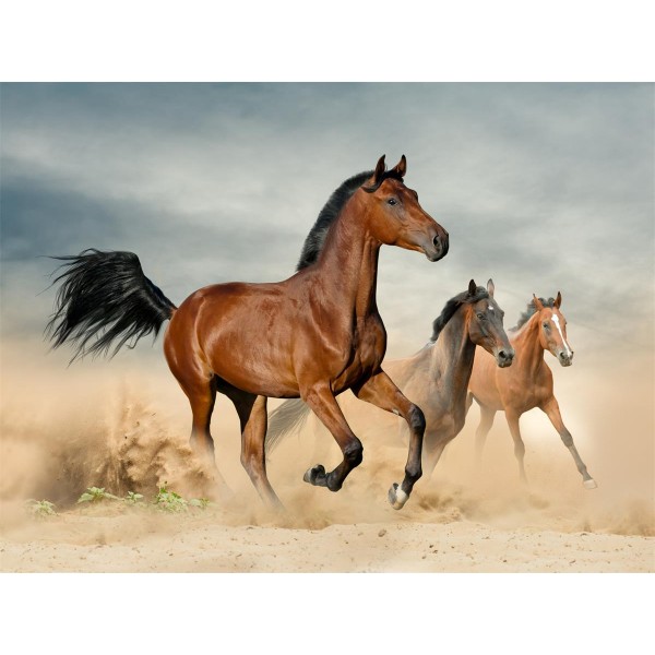 Cavallo 5d Diy Kit Diamond Painting Pittura Di Diamante NO310