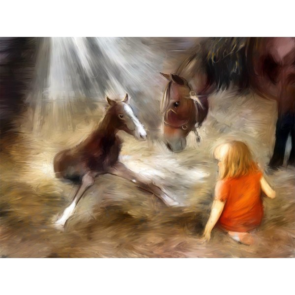 Cavallo 5d Diy Kit Diamond Painting Pittura Di Diamante NO308