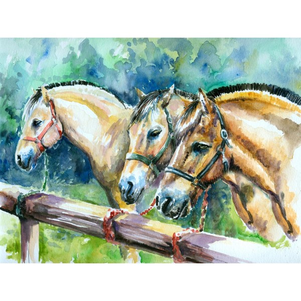 Cavallo 5d Diy Kit Diamond Painting Pittura Di Diamante NO304