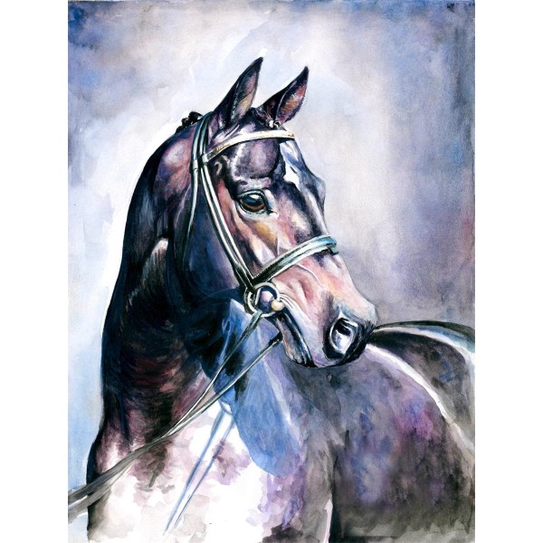 Cavallo 5d Diy Kit Diamond Painting Pittura Di Diamante NO302