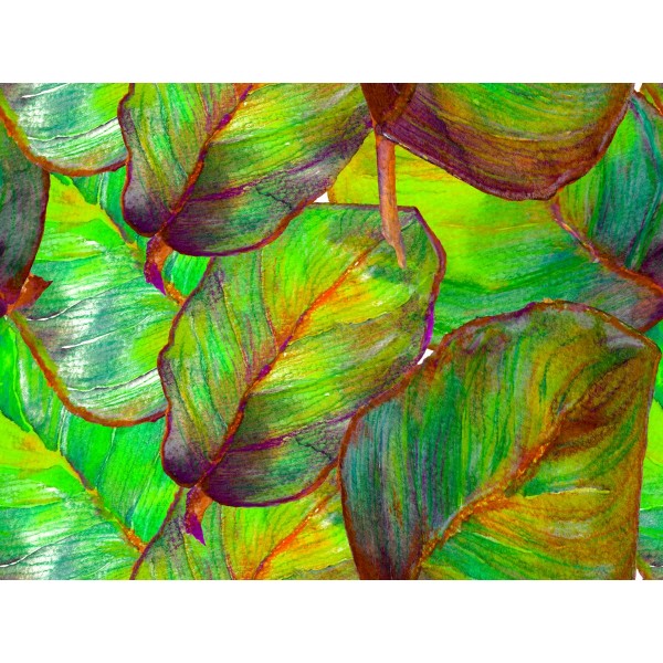 Moderno 5d Diy Kit Diamond Painting Pittura Di Diamante NO269