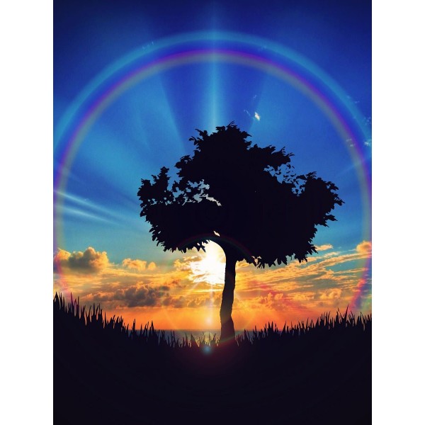 Albero 5d Diy Kit Diamond Painting Pittura Di Diamante NO217