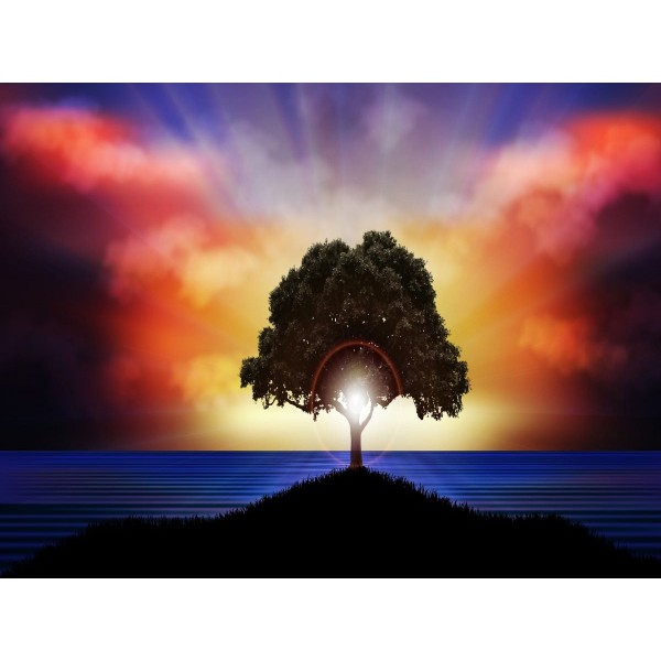 Albero 5d Diy Kit Diamond Painting Pittura Di Diamante NO215