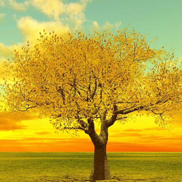 Albero 5d Diy Kit Diamond Painting Pittura Di Diamante NO213