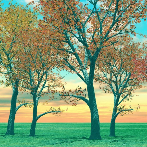 Albero 5d Diy Kit Diamond Painting Pittura Di Diamante NO212