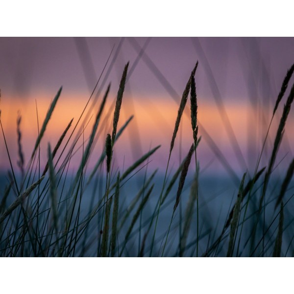 Natura 5d Diy Kit Diamond Painting Pittura Di Diamante NO208