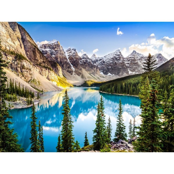 Natura 5d Diy Kit Diamond Painting Pittura Di Diamante NO192