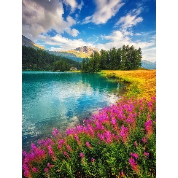 Natura 5d Diy Kit Diamond Painting Pittura Di Diamante NO189