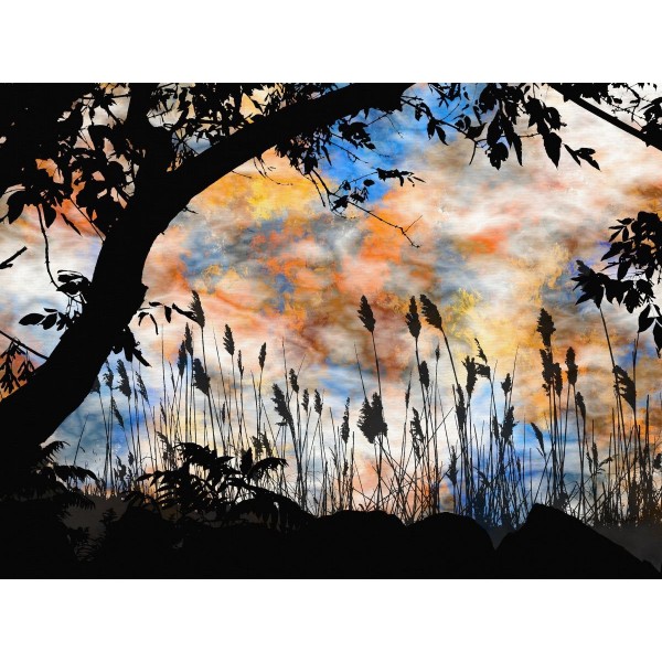 Natura 5d Diy Kit Diamond Painting Pittura Di Diamante NO187