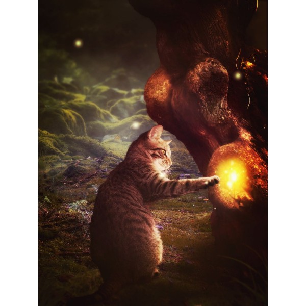 Gatto 5d Diy Kit Diamond Painting Pittura Di Diamante NO175