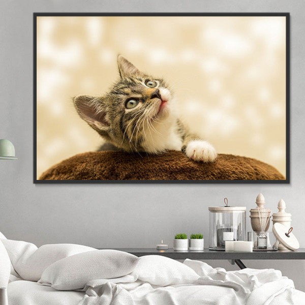 Gatto 5d Diy Kit Diamond Painting Pittura Di Diamante NO176
