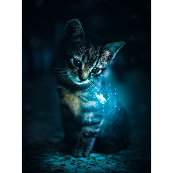 Gatto 5d Diy Kit Diamond Painting Pittura Di Diamante NO172