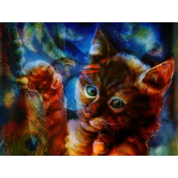Gatto 5d Diy Kit Diamond Painting Pittura Di Diamante NO164