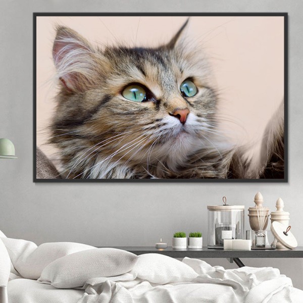 Gatto 5d Diy Kit Diamond Painting Pittura Di Diamante NO166
