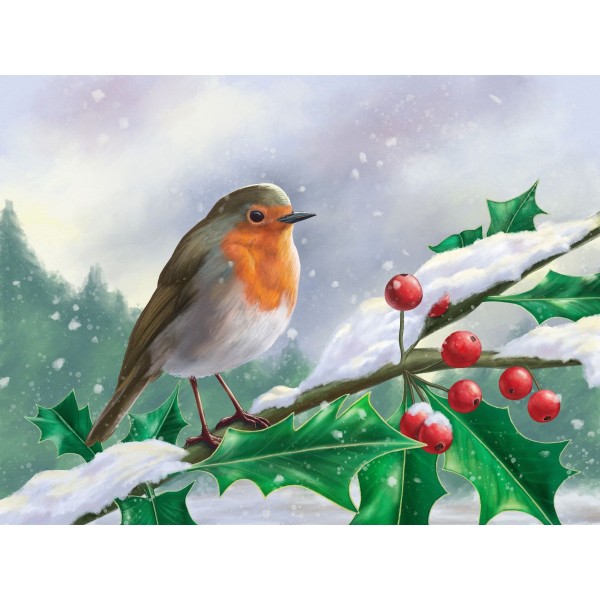 Uccello 5d Diy Kit Diamond Painting Pittura Di Diamante NO149