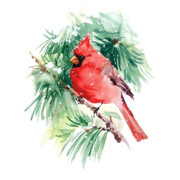 Uccello 5d Diy Kit Diamond Painting Pittura Di Diamante NO139