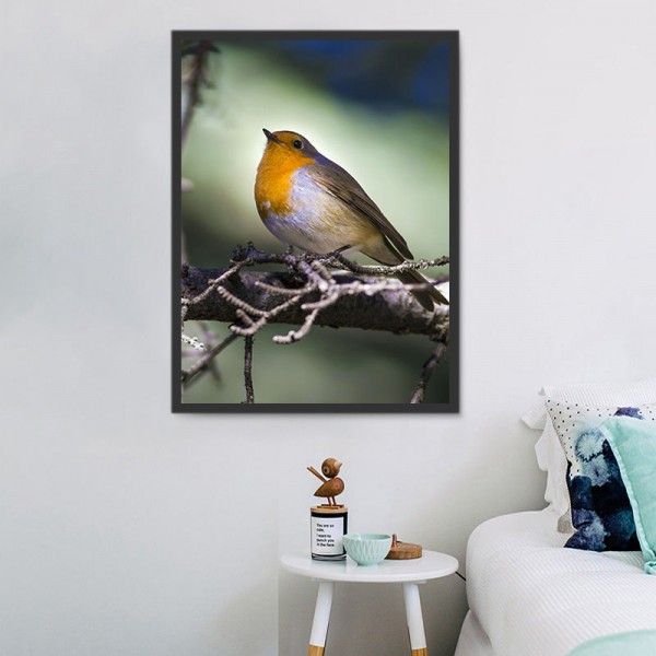 Uccello 5d Diy Kit Diamond Painting Pittura Di Diamante NO140