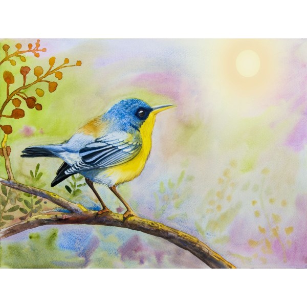 Uccello 5d Diy Kit Diamond Painting Pittura Di Diamante NO138