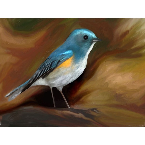 Uccello 5d Diy Kit Diamond Painting Pittura Di Diamante NO136