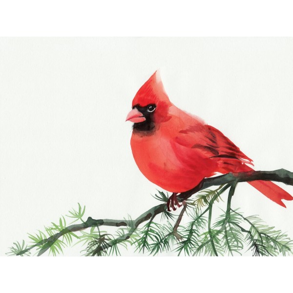 Uccello 5d Diy Kit Diamond Painting Pittura Di Diamante NO135