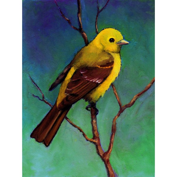 Uccello 5d Diy Kit Diamond Painting Pittura Di Diamante NO134